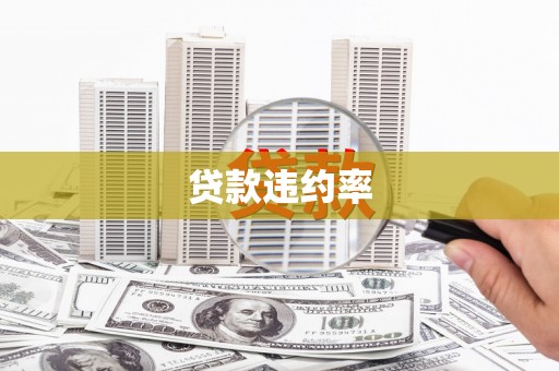 金安贷款违约率