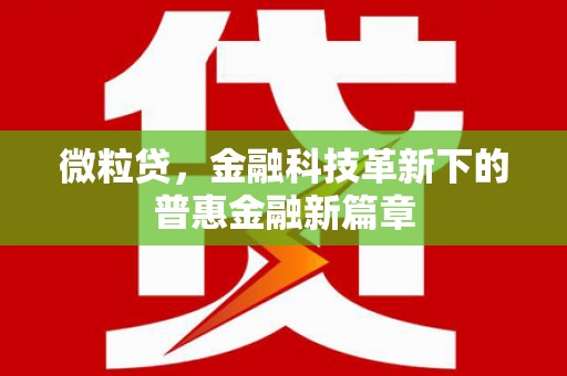 金安微粒贷，金融科技革新下的普惠金融新篇章