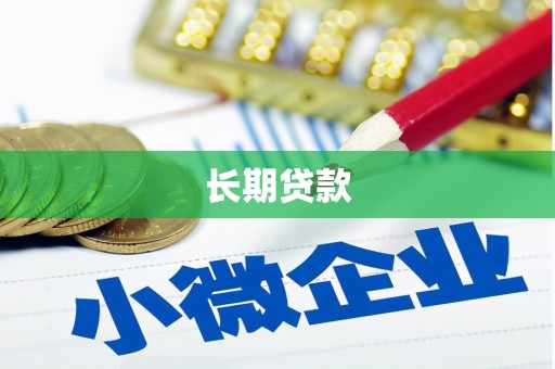 金安长期贷款