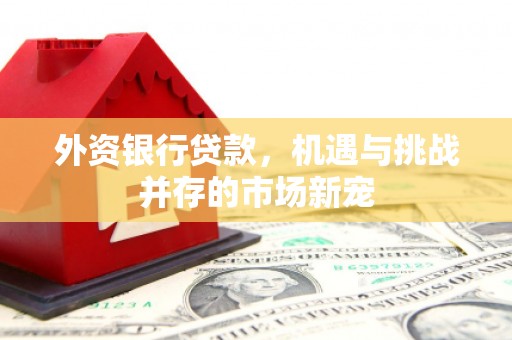 金安外资银行贷款，机遇与挑战并存的市场新宠