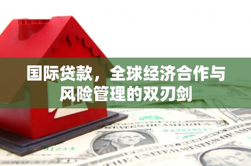 金安国际贷款，全球经济合作与风险管理的双刃剑