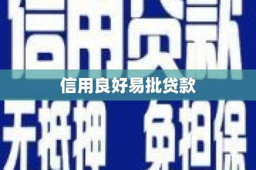 金安信用良好易批贷款