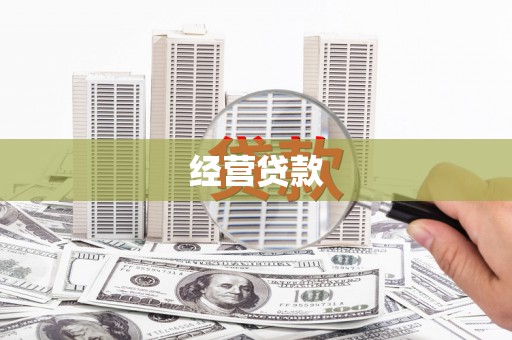 金安经营贷款