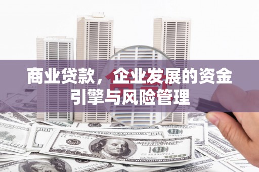 金安商业贷款，企业发展的资金引擎与风险管理