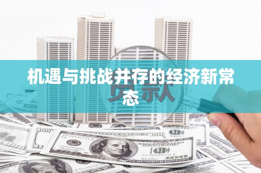 金安机遇与挑战并存的经济新常态