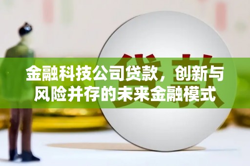 金安金融科技公司贷款，创新与风险并存的未来金融模式