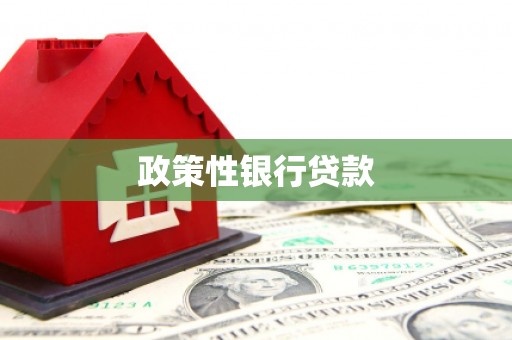 金安政策性银行贷款