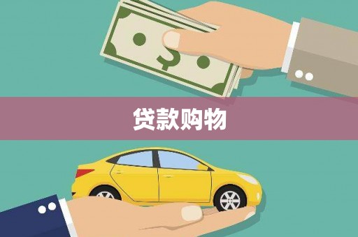 金安贷款购物