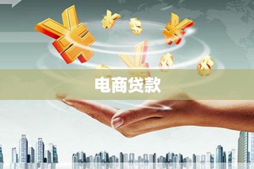 金安电商贷款