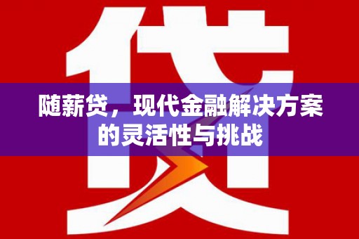 金安随薪贷，现代金融解决方案的灵活性与挑战
