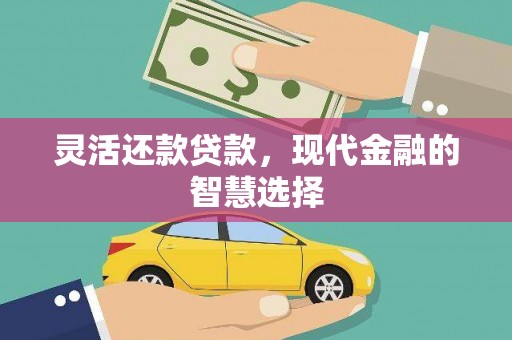 金安灵活还款贷款，现代金融的智慧选择