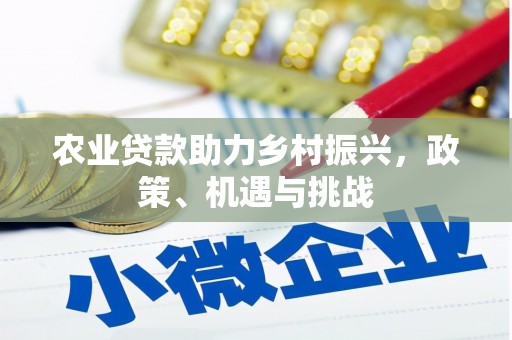 金安农业贷款助力乡村振兴，政策、机遇与挑战