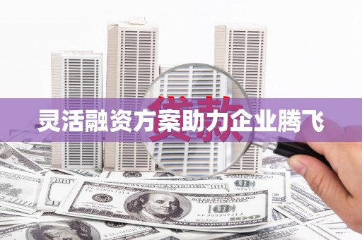 金安灵活融资方案助力企业腾飞