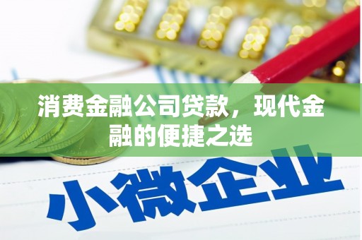 金安消费金融公司贷款，现代金融的便捷之选