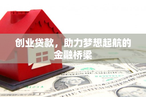 金安创业贷款，助力梦想起航的金融桥梁