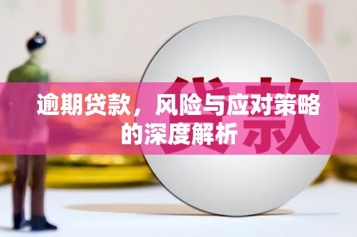 金安逾期贷款，风险与应对策略的深度解析