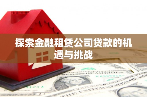 金安探索金融租赁公司贷款的机遇与挑战