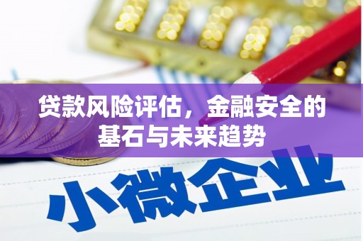 金安贷款风险评估，金融安全的基石与未来趋势