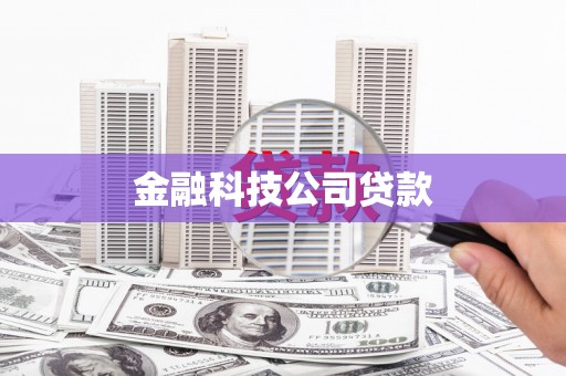 金安金融科技公司贷款