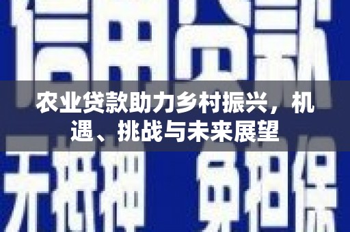金安农业贷款助力乡村振兴，机遇、挑战与未来展望