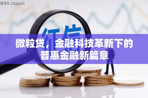 金安微粒贷，金融科技革新下的普惠金融新篇章