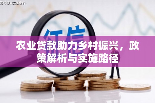 金安农业贷款助力乡村振兴，政策解析与实施路径