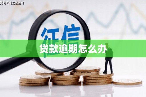金安贷款逾期怎么办