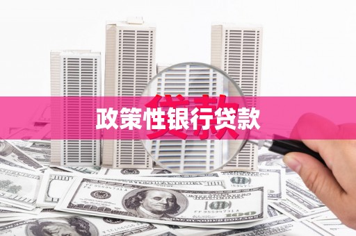 金安政策性银行贷款