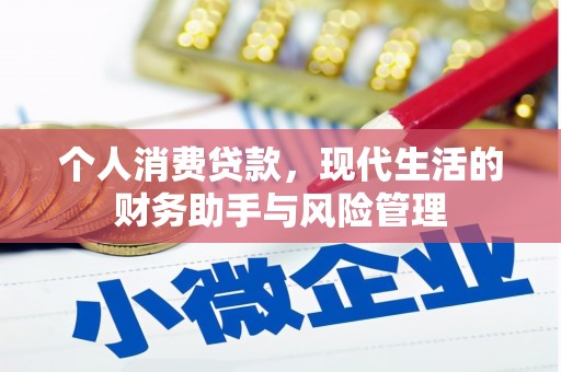 金安个人消费贷款，现代生活的财务助手与风险管理