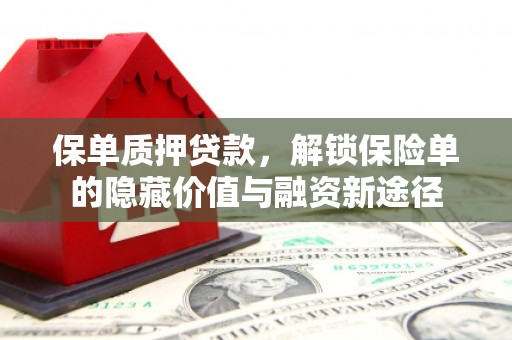 金安保单质押贷款，解锁保险单的隐藏价值与融资新途径