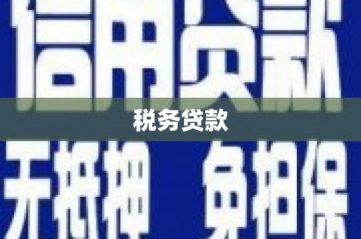 金安税务贷款