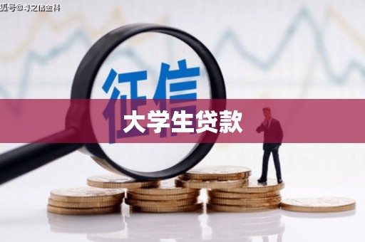金安大学生贷款