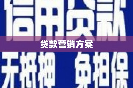 金安贷款营销方案