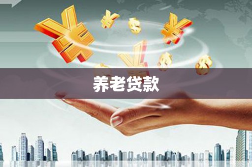 金安养老贷款