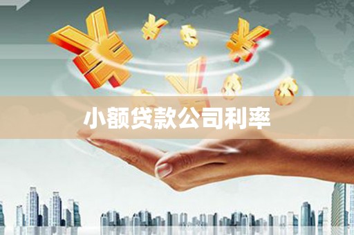 金安小额贷款公司利率