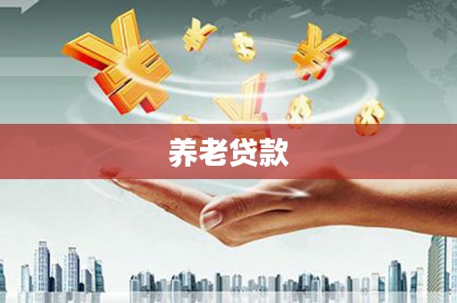 金安养老贷款