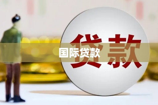 金安国际贷款