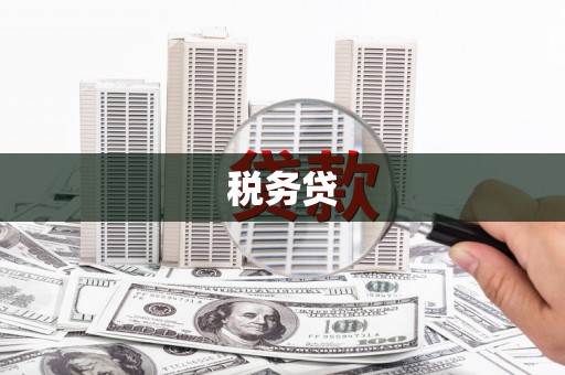 金安税务贷