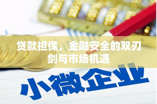 金安贷款担保，金融安全的双刃剑与市场机遇