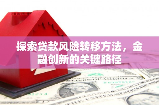 金安探索贷款风险转移方法，金融创新的关键路径