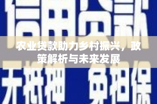 金安农业贷款助力乡村振兴，政策解析与未来发展