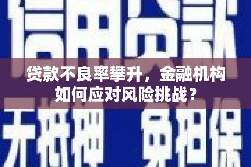 金安贷款不良率攀升，金融机构如何应对风险挑战？