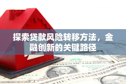 金安探索贷款风险转移方法，金融创新的关键路径