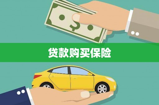 金安贷款购买保险