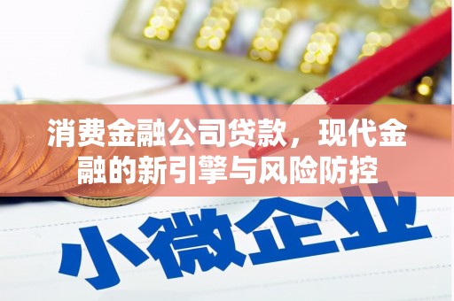 金安消费金融公司贷款，现代金融的新引擎与风险防控