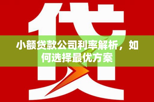 金安小额贷款公司利率解析，如何选择最优方案