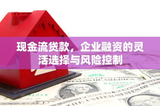 金安现金流贷款，企业融资的灵活选择与风险控制