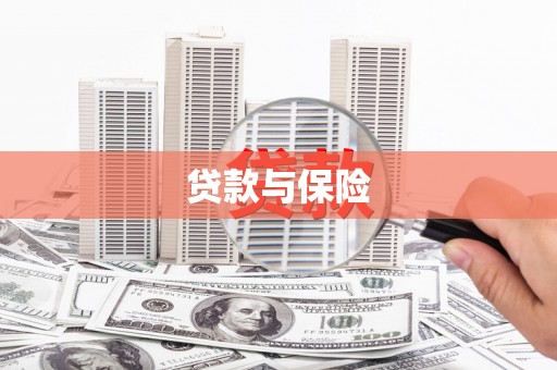 金安贷款与保险