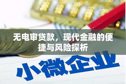 金安无电审贷款，现代金融的便捷与风险探析