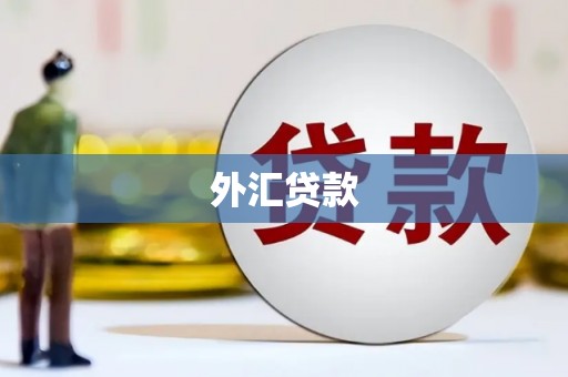 金安外汇贷款